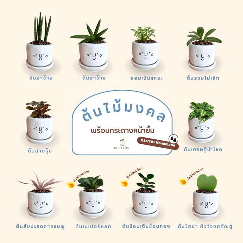 plant2